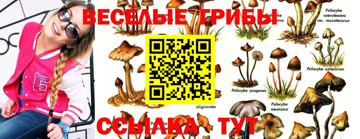 Псилоцибиновые грибы мицелий  Вход с VPN  магазин продажи   Тимашёвск 